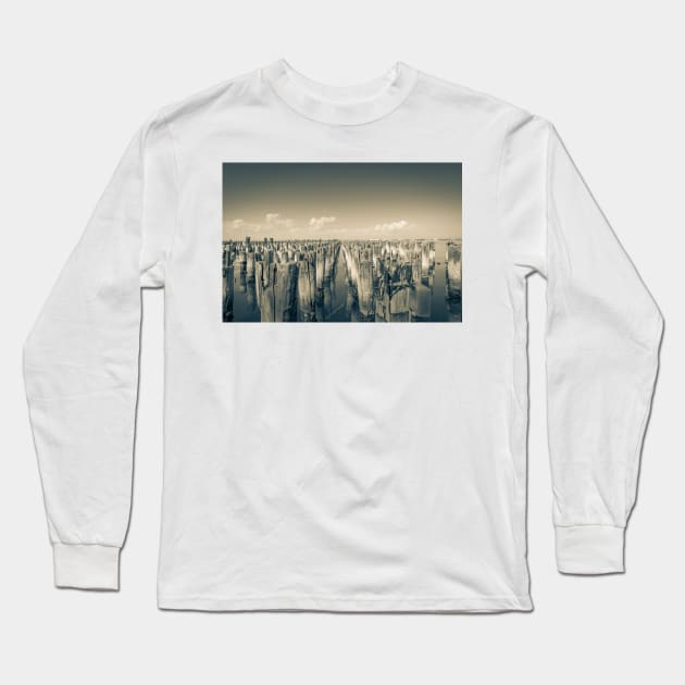 Princes Pier remains of historic pier piles in rows Long Sleeve T-Shirt by brians101